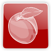 Apricot Flavour E-Liquid Logo