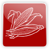 Corn Flavour E-Liquid Logo