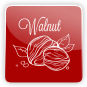 Walnut Flavour E-Liquid Logo